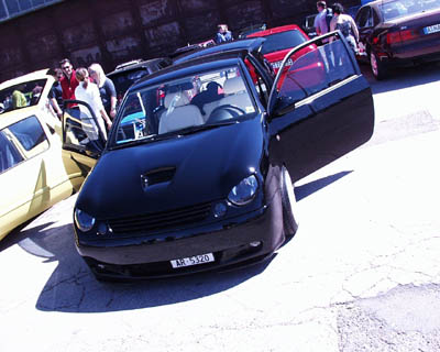 Lupo schwarz 02